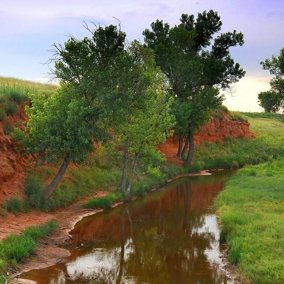 Meet your Posher, Jacque - Picture 1 of 1